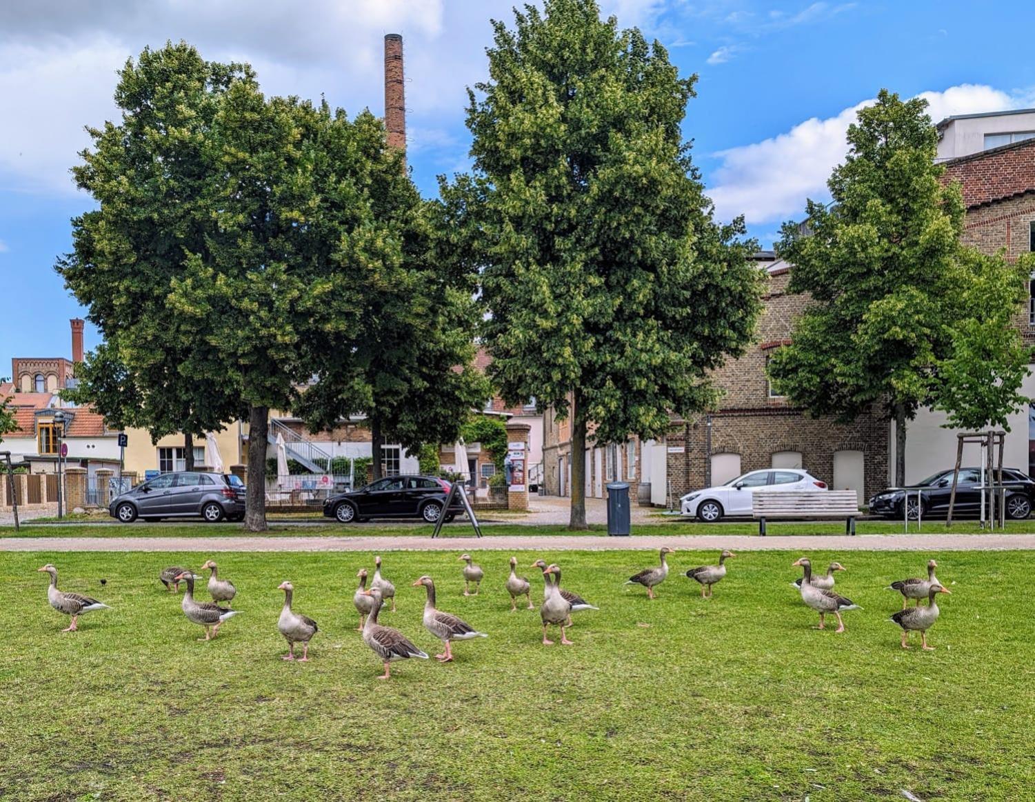 Lendelhaus & Historische Saftfabrik Werder Werder (Havel) Exterior foto